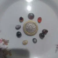 کلکسیون سکه|کلکسیون سکه، تمبر، اسکناس|نیشابور, فردوسی جنوبی|دیوار