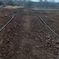 آبیاری قطره ای و فضای سبز روف گاردن