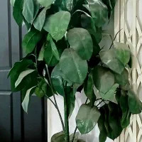 درختچه بلند و بزرگ مصنوعی همراه با گلدان