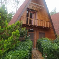 کلبه استخر دار|اجارهٔ کوتاهمدت آپارتمان و سوئیت|نشتارود, |دیوار