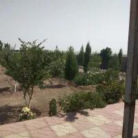 باغ ویلا ۱۱۰۰ متری سند تک برگ|فروش خانه و ویلا|محمدشهر, عباس آباد|دیوار