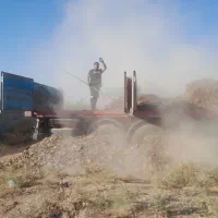 کودمرغ گوشتی سالنی خالص ودرجه ۱