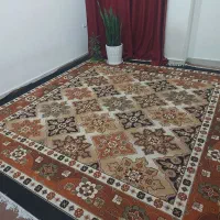 گلیم فرش ۹ متری|فرش|اهواز, سپیدار|دیوار
