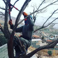 باغبانی سمپاشی کوددهی محلولپاشی نهال رودهن پردیس