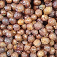 عناب خشک امسالی