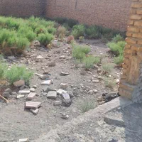 زمین ۱۰۰متری الورد