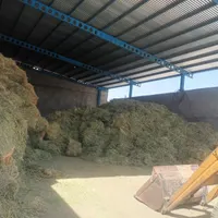 خصیلخردشده گندموشبدر