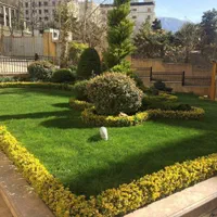 باغبانی باغچه کاری اجرای فضای سبز گل کاری چمن کاری|خدمات باغبانی و درختکاری|تهران, فرمانیه|دیوار