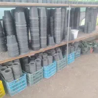 فروش گلدان درجه یک