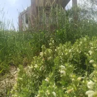 باغ-ویلا-جاده-قدیم