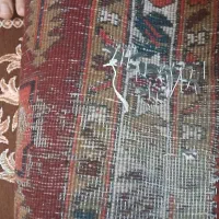 فرش دستباف کناره|فرش|اردبیل, |دیوار