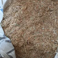 کاه عدس|عمدهفروشی|ویلکیج, |دیوار