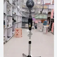 پنکه کنترل دار بیگنس(فروشگاه دیاردوست)|پنکه و تصفیه‌کنندهٔ هوا|اردبیل, |دیوار