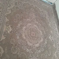 فرش 12 متری|فرش|پیشوا, |دیوار