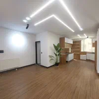 ۵۰متر طبقه اول*پارکینگ*قلب اندیشه *گل سرسبد خرید*|فروش آپارتمان|اندیشه, اندیشه فاز ۱|دیوار