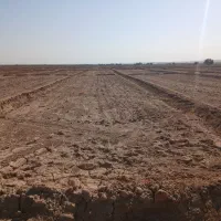 ۲۰ هکتار زمین کشاورزی آبیاری برای فروش|فروش دفتر صنعتی، کشاورزی، تجاری|اهواز, کمپلو جنوبی|دیوار