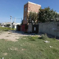 زمین-کوسه