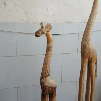 دوعدد زرافه