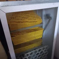 دستگاه جوجه کشی