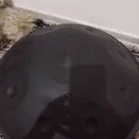 فروش هنگ درام نو نو ۶ماه خریدم نیاز ب پول هستم