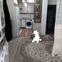 واحد۵۰متری