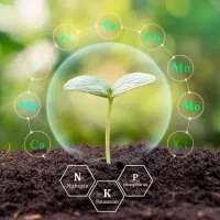 کود و سم و نهاده های دامی الوند دانه