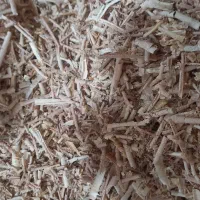 پوشال چوب قیمت هر گونی ۱۰۰ تومان