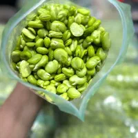 سبزیجات آماده و محصولات فریزری کدبانو