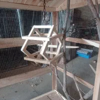 قفس|لوازم جانبی حیوانات|یزد, |دیوار