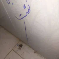 خدمات شت یابی  ولوله کشی فوری وتخریب وبازسازی
