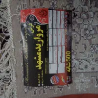 فرش ۶ متر|فرش|سنندج, |دیوار