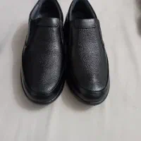 کفش شیما