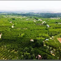 باغ ، باغچه سپیدان همایجان...