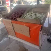 قفسه تره باری|فروشگاه و مغازه|شیراز, شاپورجان|دیوار