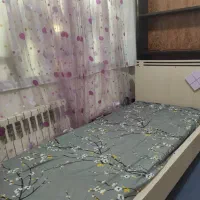 بخاری طرح شومینه ، تخت ، کتابخانه