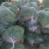 کلم بروکلی تازه