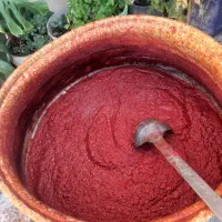 رب گوجه