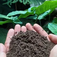 تولیدی انواع کود ( ورمی کمپوست ، گوسفندی ، گاوی )