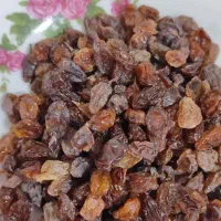 پسته،مویز گوشتی اعلا شارژ شد شب یلدایی|خوردنی و آشامیدنی|قم, نخودی|دیوار