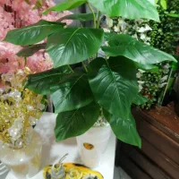 درختچه مصنوعی|گل مصنوعی|رباطکریم, رباطکریم|دیوار