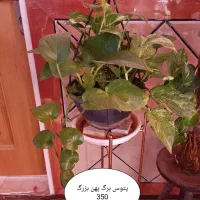 اسباب بازی|اسباب‌‌بازی|بروجرد, |دیوار