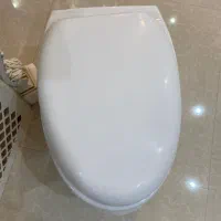 والهنگ  فرنگی دیواری
