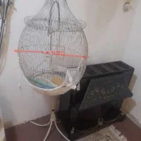 قفس پرنده