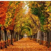 پارتنر زمستان