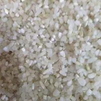 فروش،خورده برنج کامفیروز،درشت|عمدهفروشی|مرودشت, ابوذر شمالی|دیوار