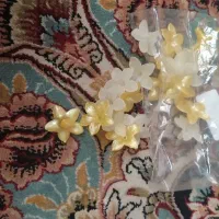 وسایل گلسازی|ابزارآلات|مشهد, شهرآرا|دیوار