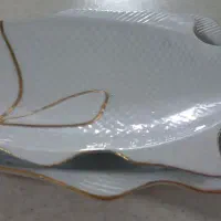 ظرف پذیرایی