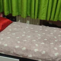 تخت و تشک|تخت و سرویس خواب|رشت, تازه آباد|دیوار