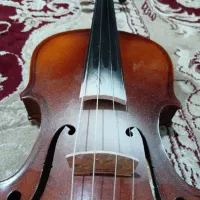 ویلن  حرفه ای