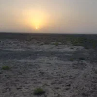 ۵۰ من (۵۰۰۰ متر) زمین پسته لوله کشی شده با آب|فروش زمین و ملک کلنگی|گناباد, |دیوار